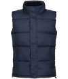 RG449 TRA898 Regatta Northdale Insulated Bodywarmer Navy colour image